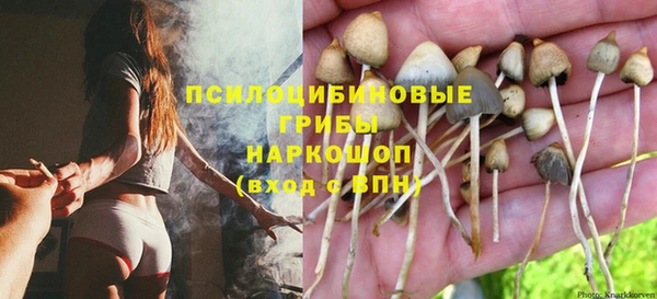 гашик Абинск