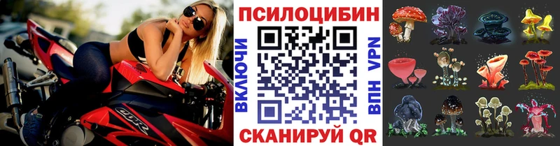 Галлюциногенные грибы GOLDEN TEACHER  Лермонтов 